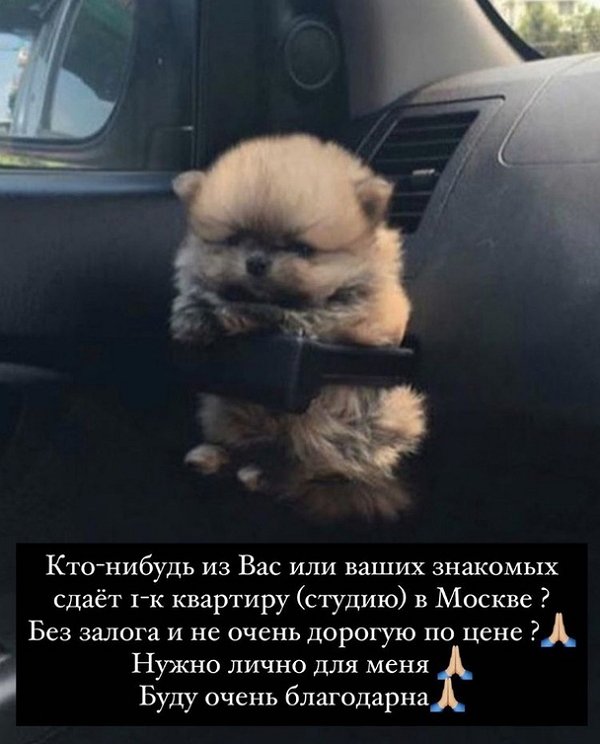  :     !