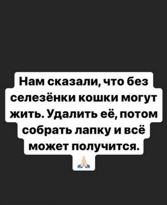  :  ,   
