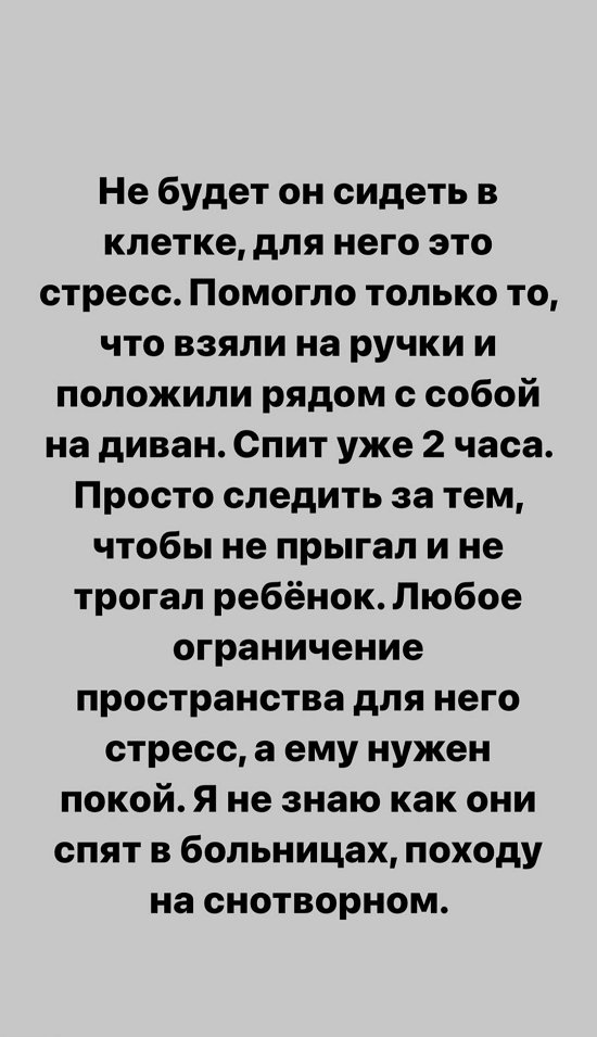 Александра Черно: Ему не нравится ограниченное пространство