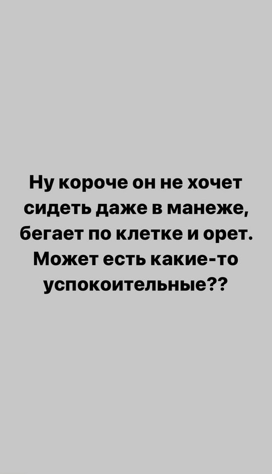 Александра Черно: Ему не нравится ограниченное пространство