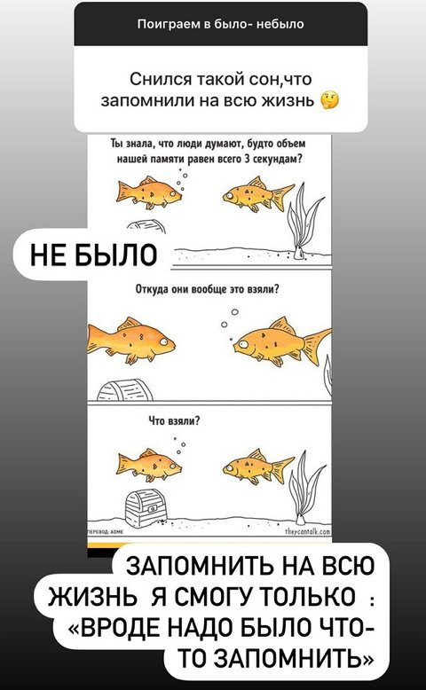 Дарья Пынзарь: Хочу большую семью