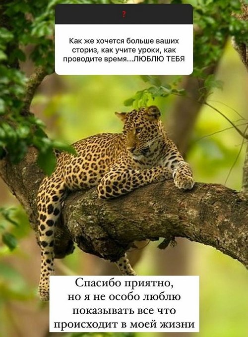  :  ,   