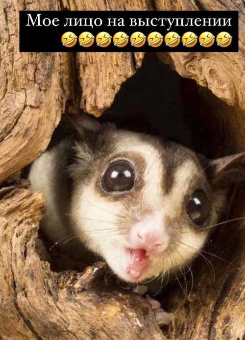  :    