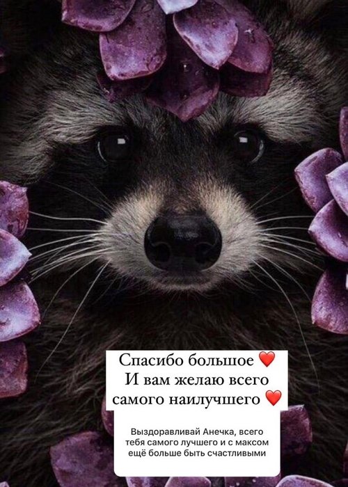  :     !
