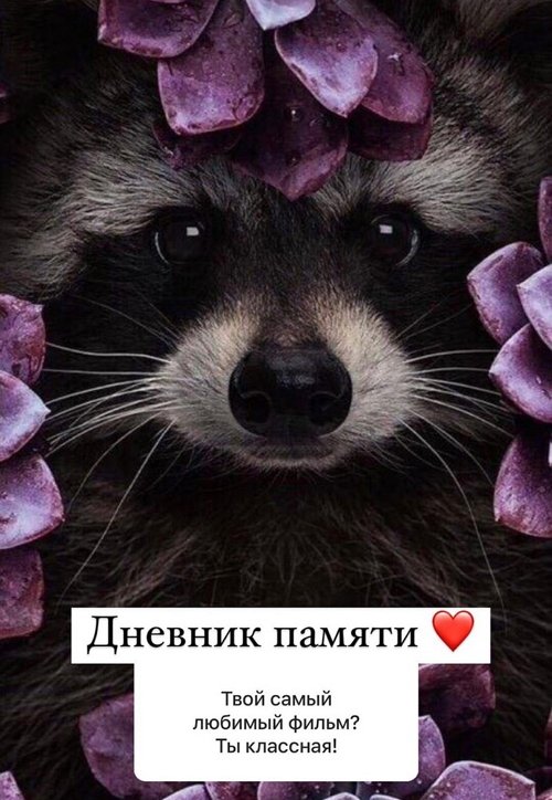  :     !