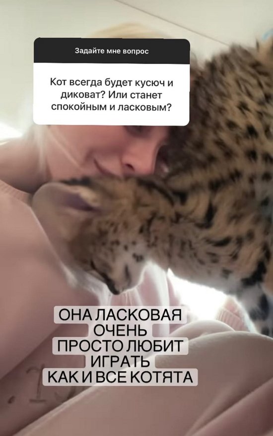  :    