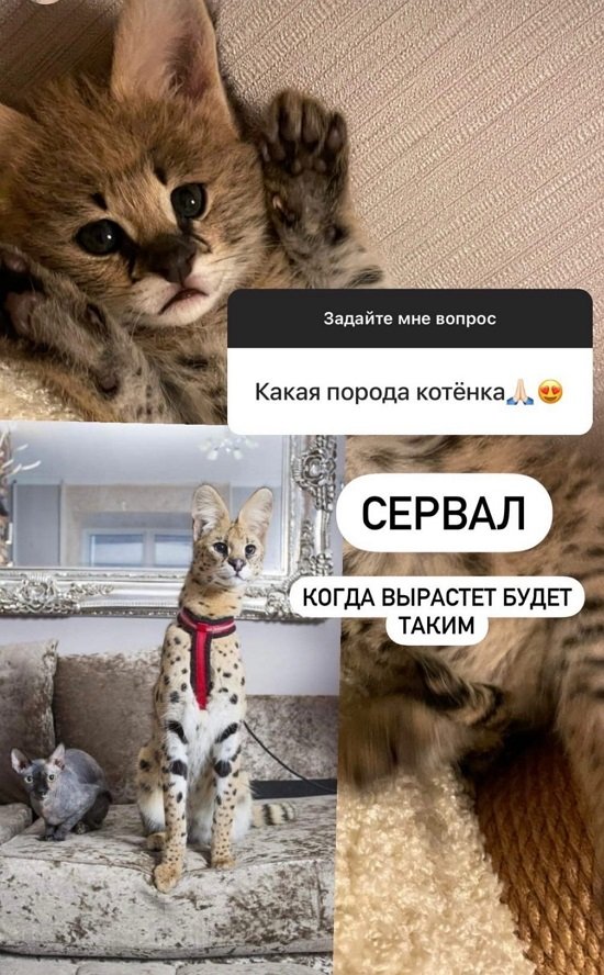  :    