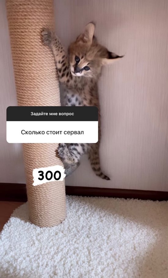  :    