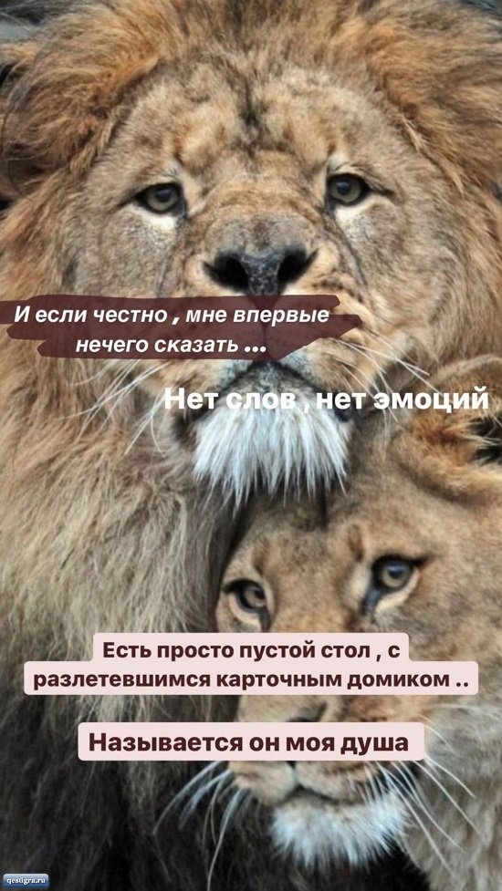  :      
