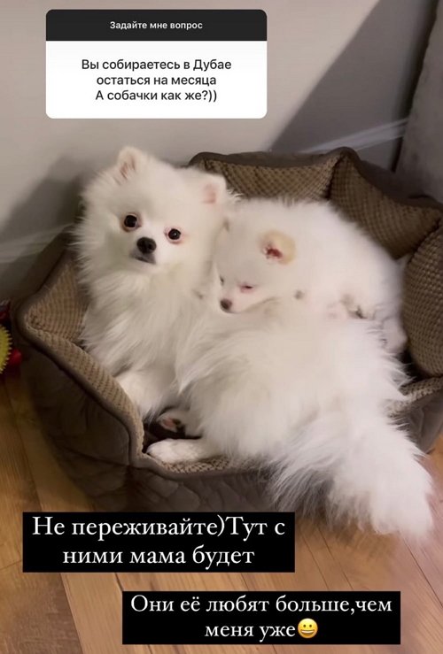  :    ,  