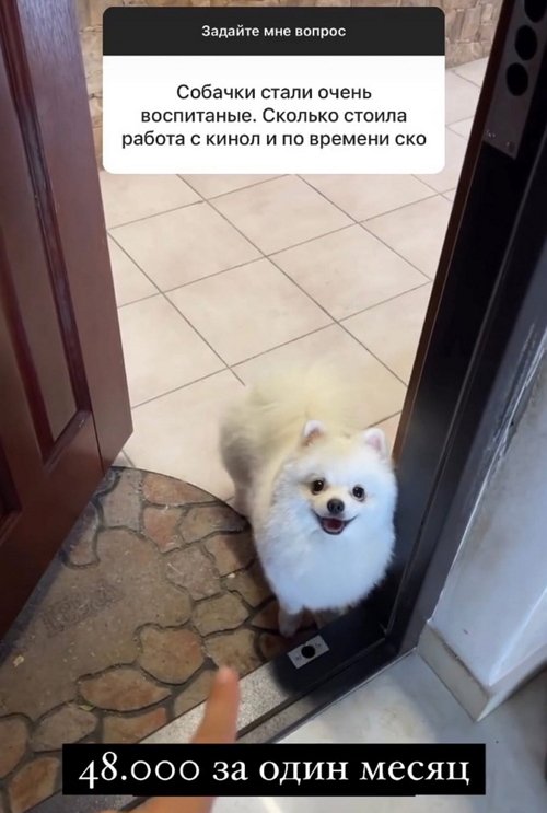  :    ,  