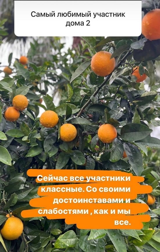 Дарья Пынзарь: Я отказалась от сахара
