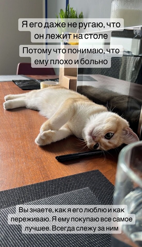  :   ...