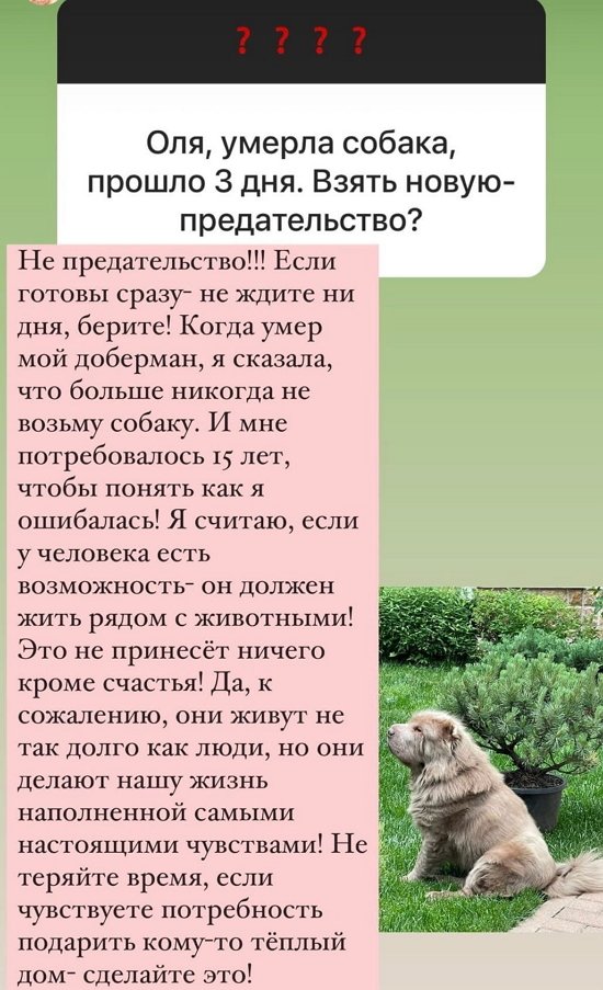 Ольга Орлова: Не совершайте эту ошибку!
