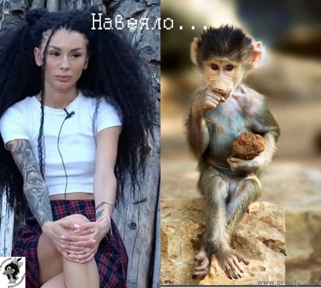    -2  16/08/2022