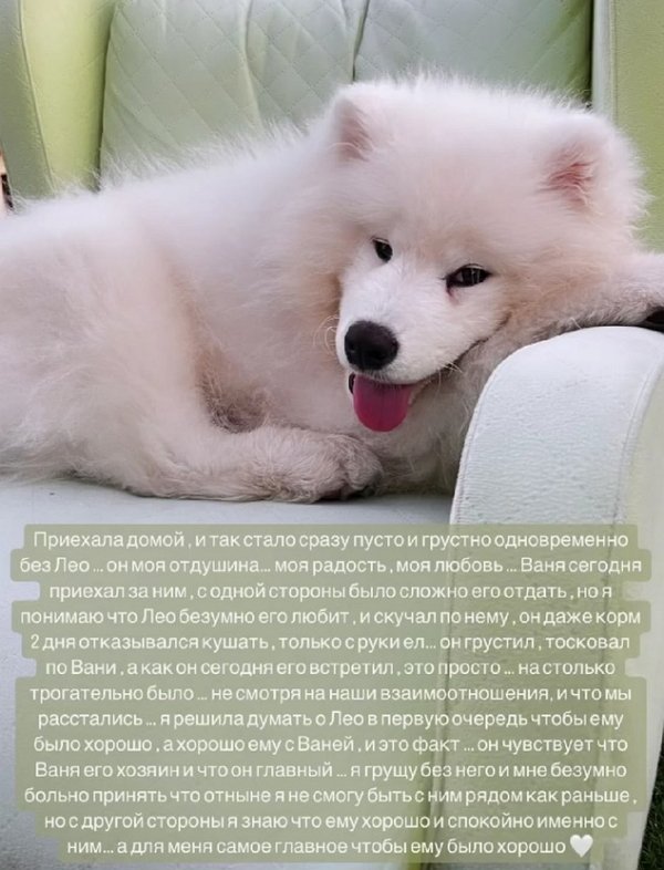 :   ,    