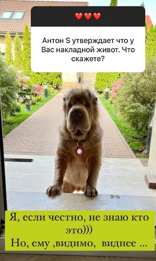  :      ,    