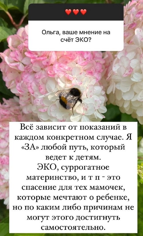  :      ,    