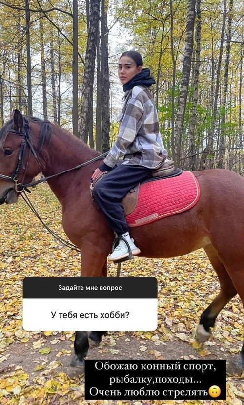  :  ,     