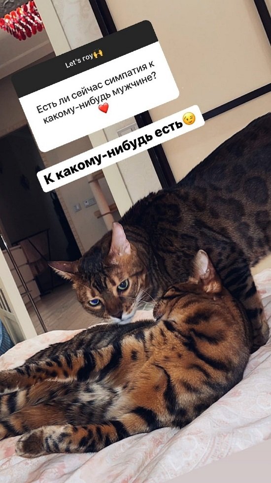  :    ,  