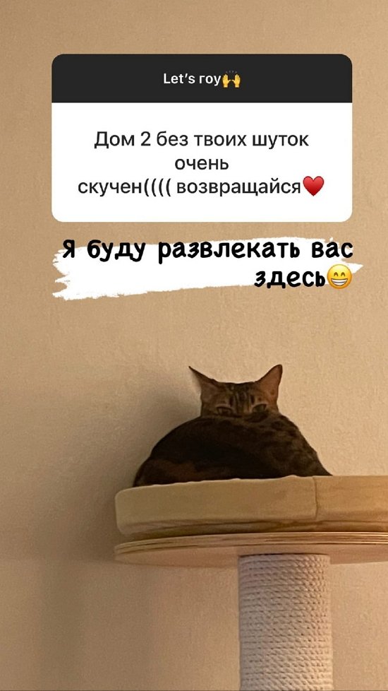  :    ,  