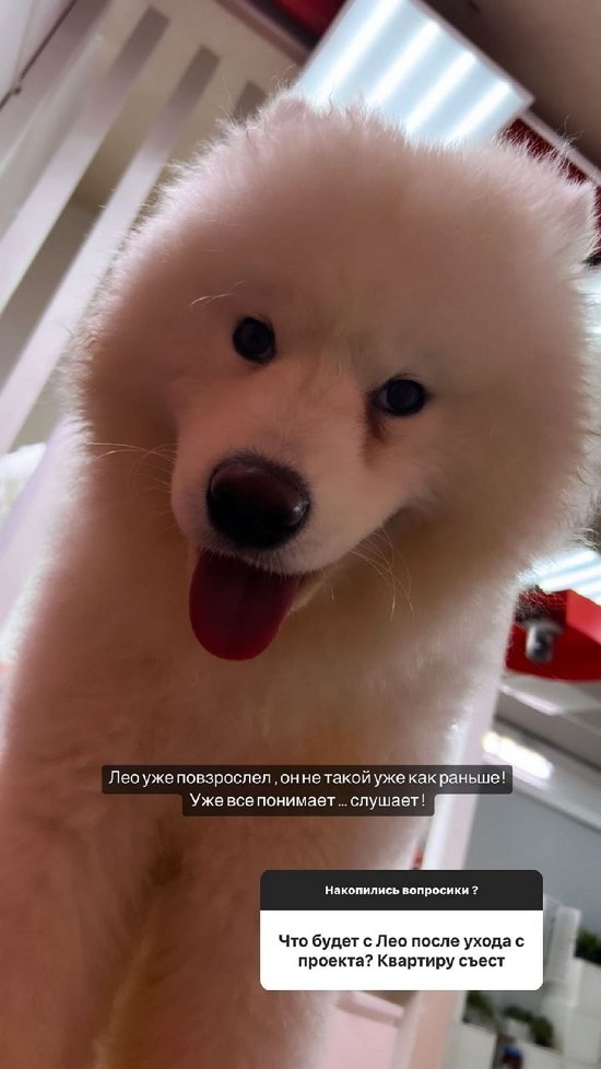  :   - ...