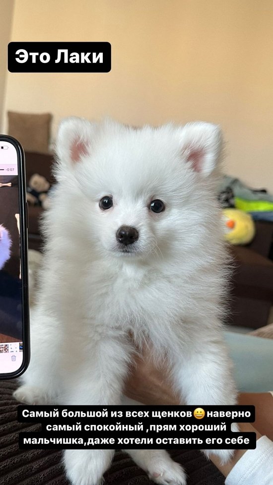  :    ...
