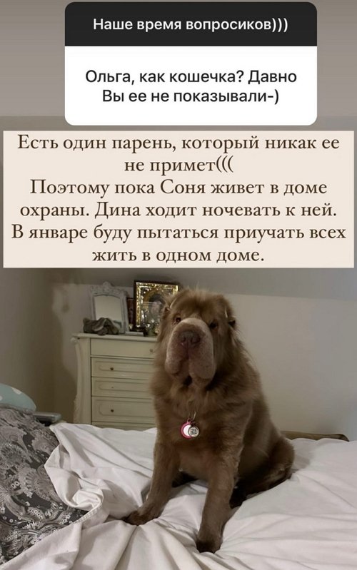 Ольга Орлова: С сыном у меня был такой же декрет
