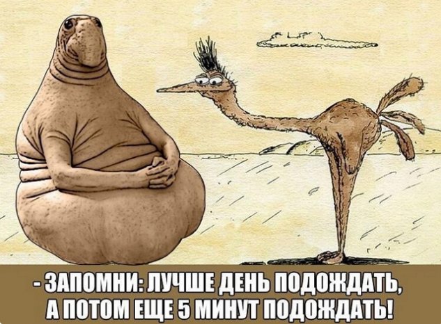 Зрительский обзор событий на Дом-2 (6/01/2023) Зрительский обзор событий на Дом-2 (6/01/2023)