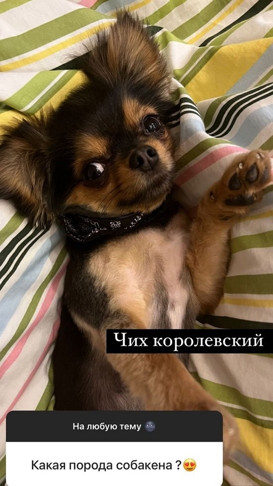  :   