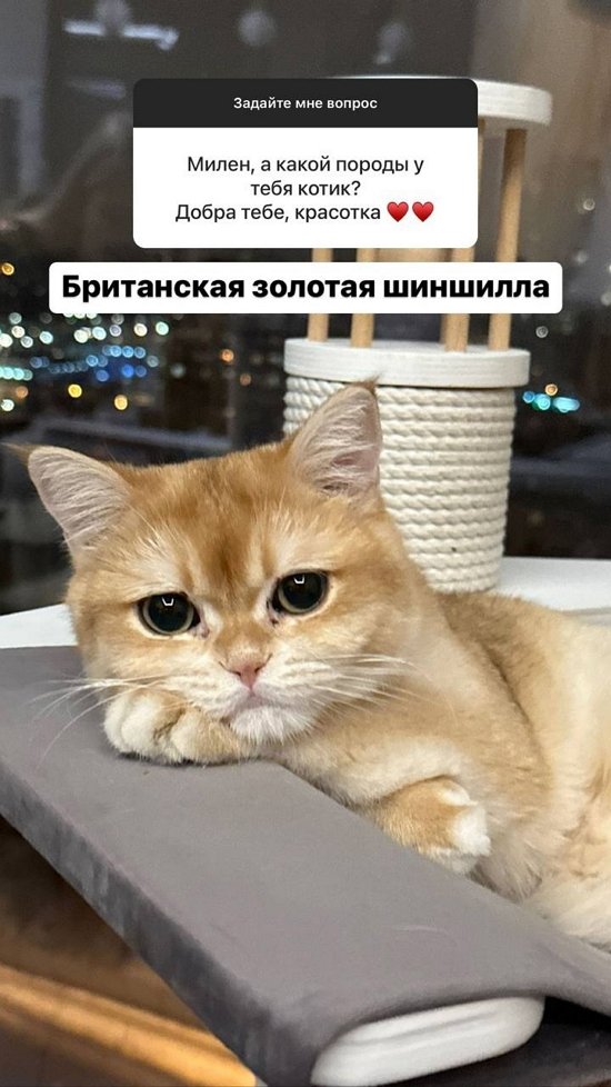  :   ,  !