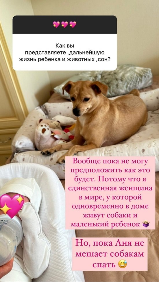  :       ,  ...