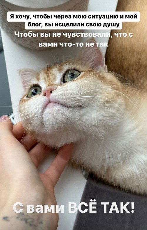  :      