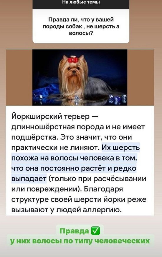  :  ,      ...