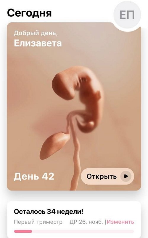 Елизавета Полыгалова: Что мне нужно делать? Елизавета Полыгалова: Что мне нужно делать?