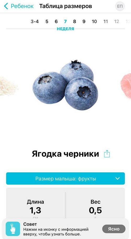 Елизавета Полыгалова: Что мне нужно делать? Елизавета Полыгалова: Что мне нужно делать?