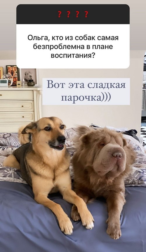  :        