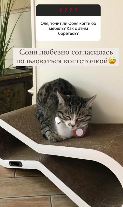  :        