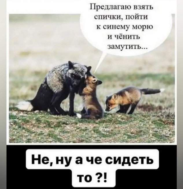 Зрительский обзор событий на Дом-2 (12/06/2023) Зрительский обзор событий на Дом-2 (12/06/2023)