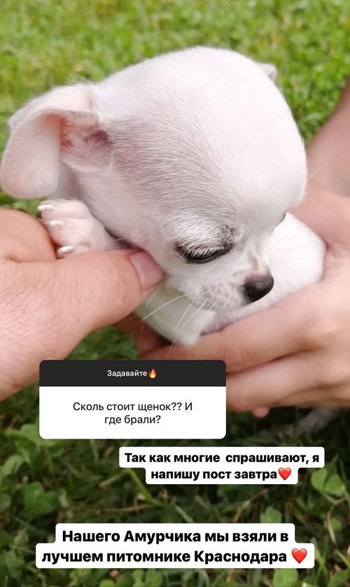  :   -   