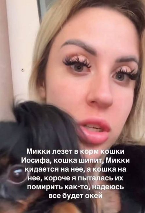 Кенели Сайкс и её собаке не рады в квартире Иосифа Оганесяна Кенели Сайкс и её собаке не рады в квартире Иосифа Оганесяна