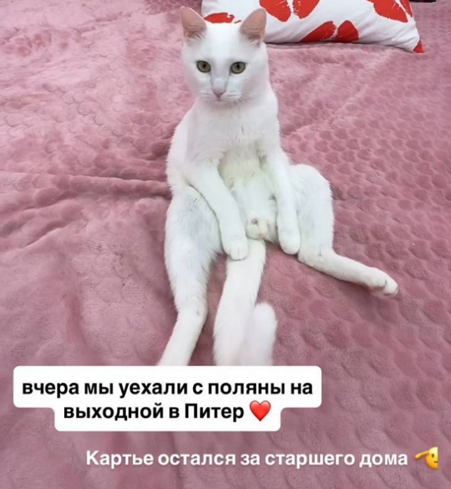 Максимов и Субботина уехали в Питер, чтобы купить машину Максимов и Субботина уехали в Питер, чтобы купить машину
