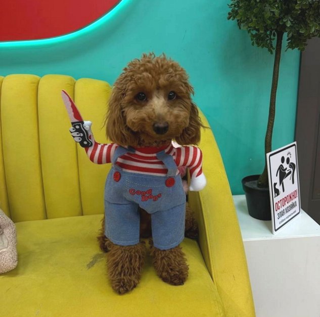 Игорь Григорьев не смог справиться со своей агрессией Игорь Григорьев не смог справиться со своей агрессией