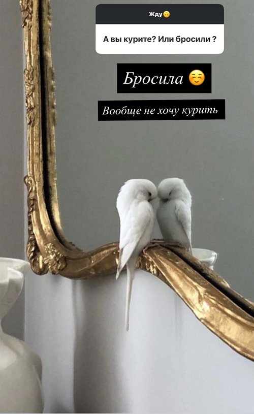 ������ ��������: ��� � ��� ������