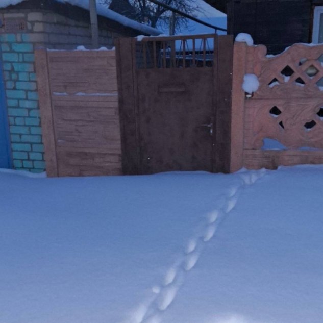 Вероника Гракович с бойфрендом уехала в Беларусь подавать на развод Вероника Гракович с бойфрендом уехала в Беларусь подавать на развод