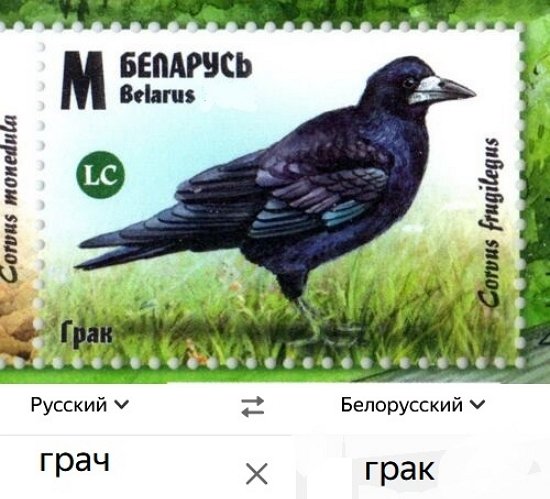 Зрительский обзор событий на Дом-2 (28/01/2026) Зрительский обзор событий на Дом-2 (28/01/2026)