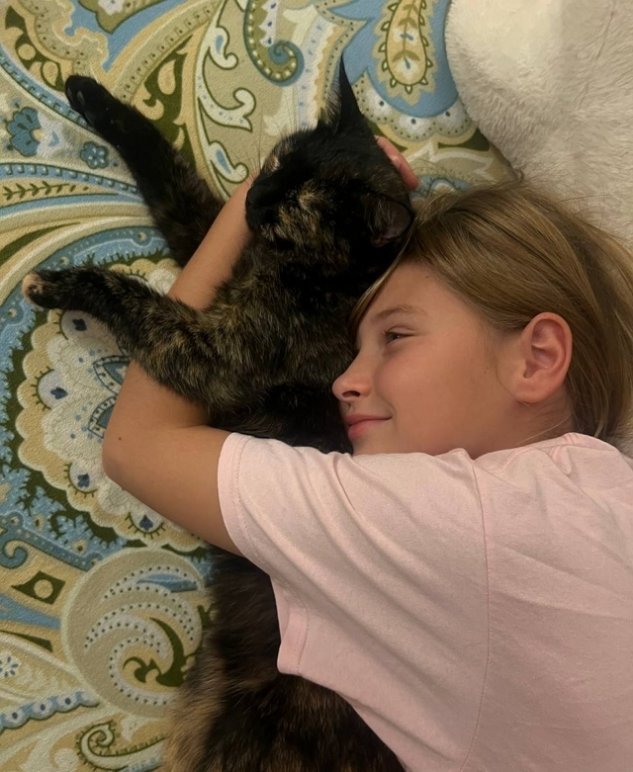 ���� ����� ���������� ������� (27/02/2026)