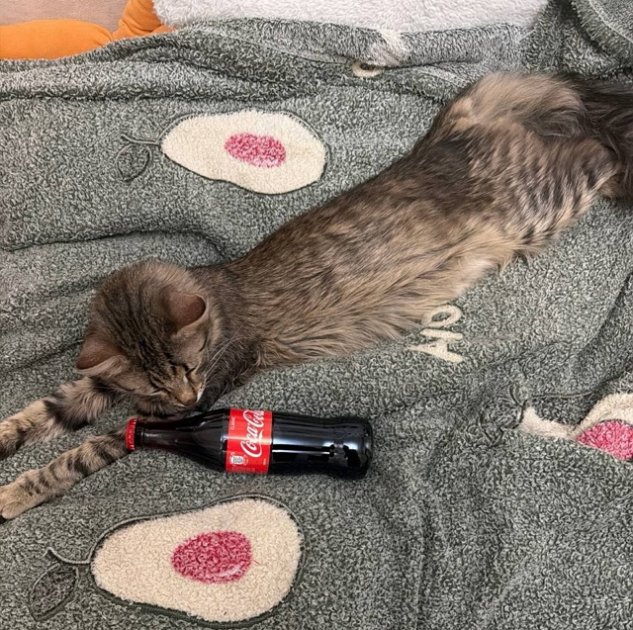 ������ ������� ����������� ������� ������� � ����������