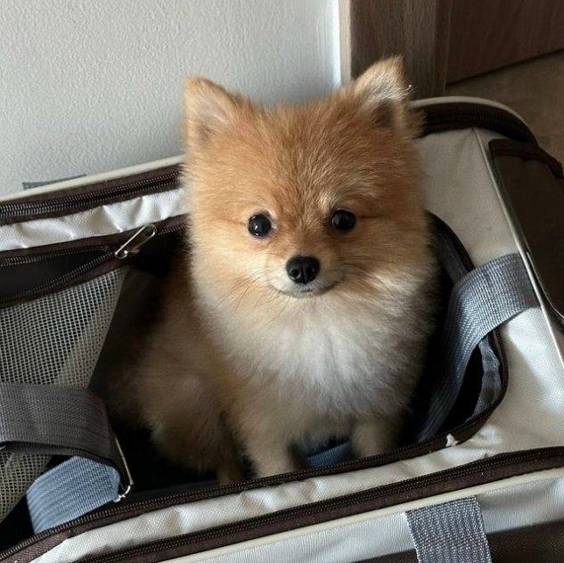 ������� �������� ������ ������ � �������?