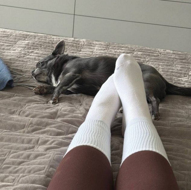 ��������� ����-2 �������� �� ������ ������ �������